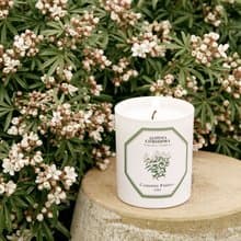Carrière Frères 馬鞭草香氛蠟燭