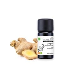 【Les nez 香鼻子】天然單方生薑純精油 10ML