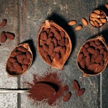 TERRA 巧克力杏仁豆