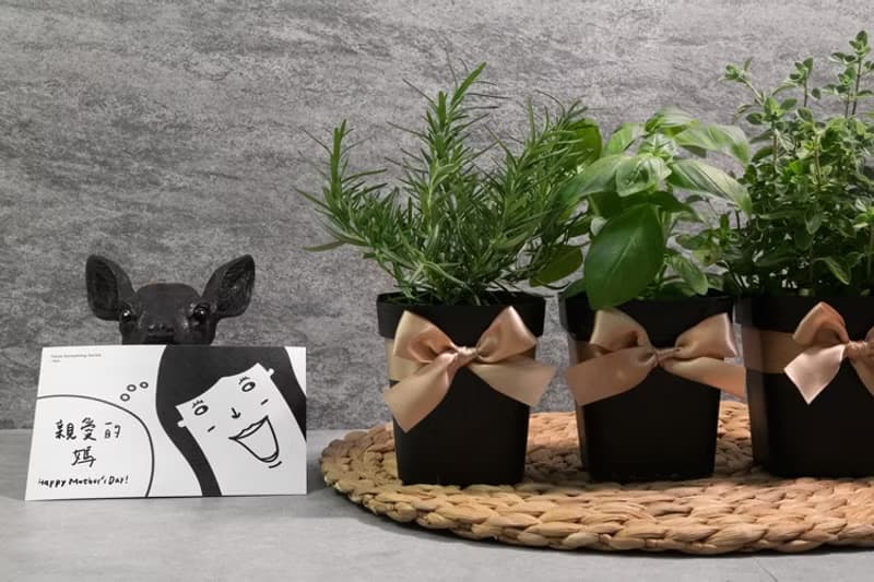 幽香馬郁蘭/海洋之霧迷迭香/甜羅勒_料理香草組合 (3盆)