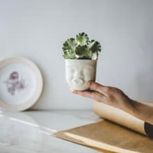 Kissing planter 可愛表情陶瓷器皿