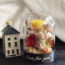 溫帶花園 永生花玻璃罩.花盅 祝賀花禮 生日.情人節.母親節.畢業