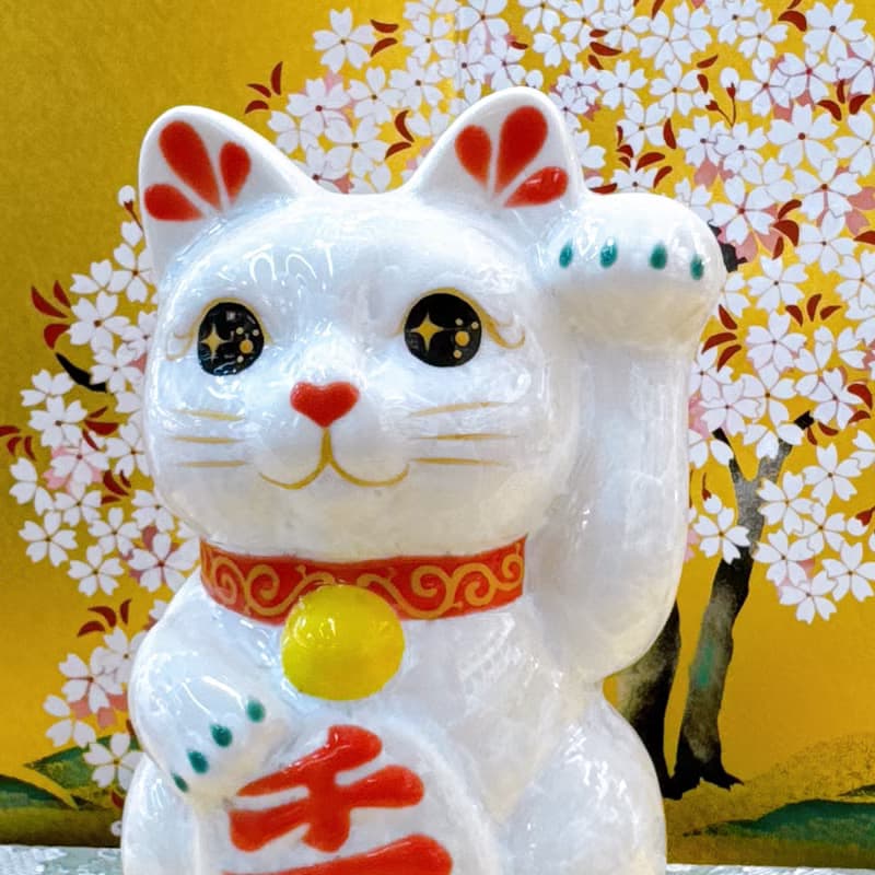 【白福萬両】日本清水燒招財貓 | 花結晶 白 - 千万両 左