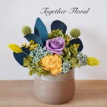 永生玫瑰小盆花