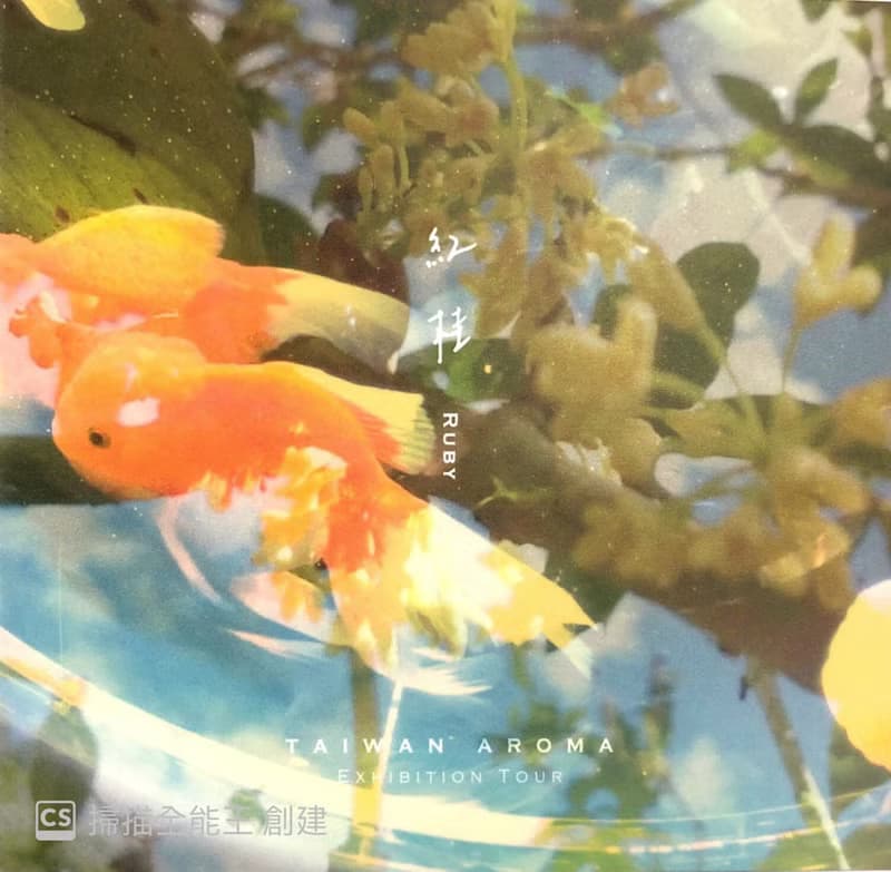 P.Seven【紅桂 】淡香水 | 3ml袖珍香 - 桂花紅茶調