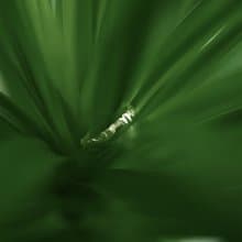 自然而然 | 925純銀戒指