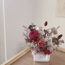 【過年永生盆花】新年盆花 兔年迎春 新居落成 喬遷禮 開幕花禮
