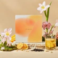 果韻清香【小草作永續禮系列】台灣水果茶禮盒