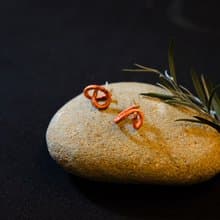 小彎曲耳環 ~ 日本線材 | 永續飾物