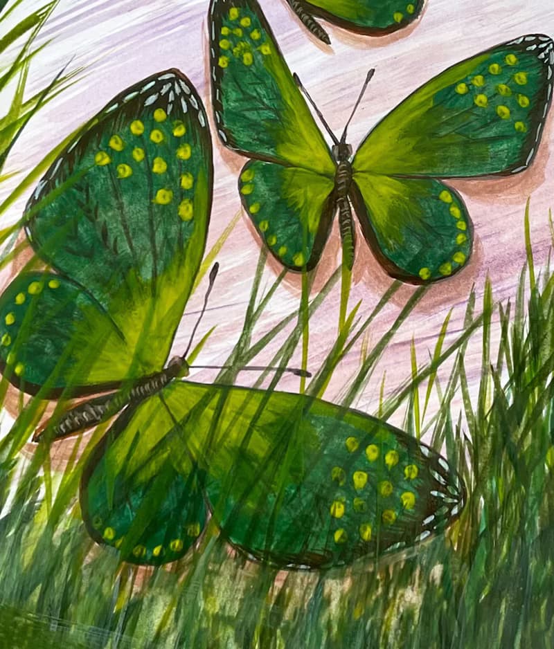Green butterflies in the marsh grass. Watercolor.