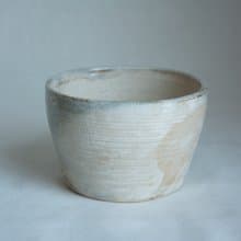 盆器 陶器 植物