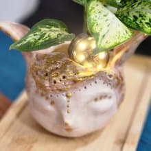 O唯一O長耳女王森林精靈*陶製套盆*開幕.新居.升遷.生日.盆栽賀禮