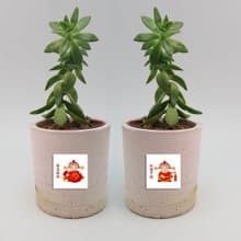 獨家組合迷你春聯祝福貼紙 財神爺款 財運亨通 恭喜發財 1全張16