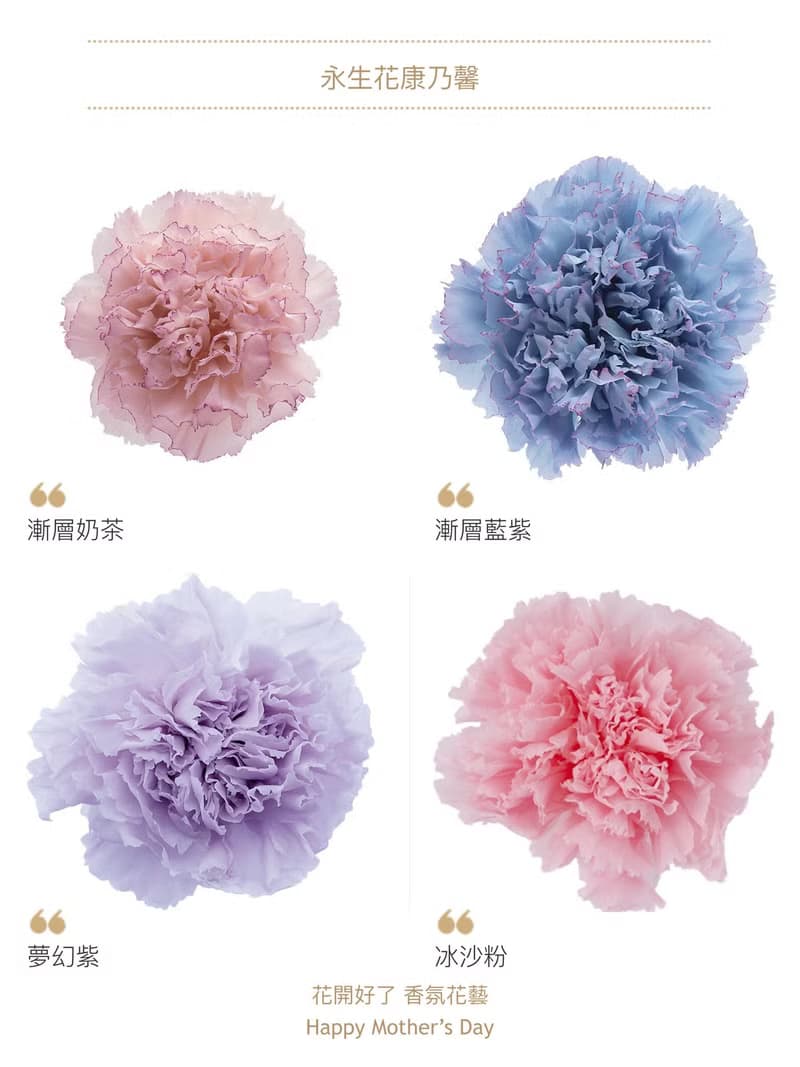 莫內花園油畫風 康乃馨永生花束 乾燥花永生花束 母親節禮物