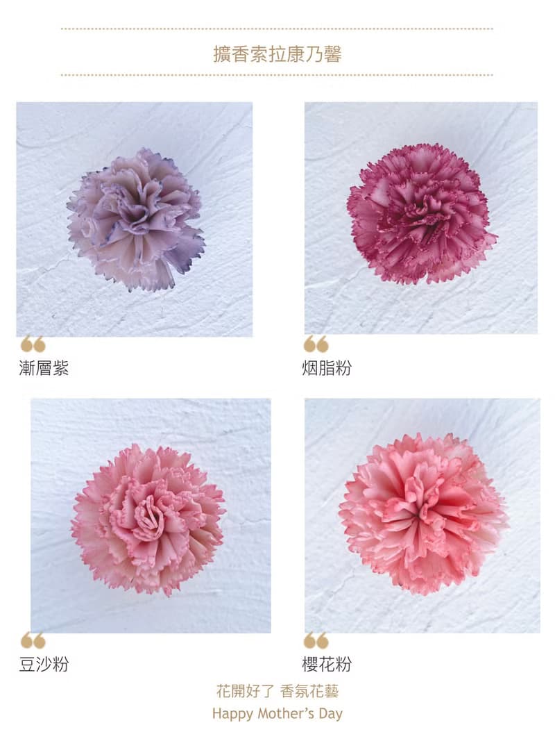 莫內花園油畫風 康乃馨永生花束 乾燥花永生花束 母親節禮物