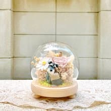 時尚狗狗/雪納瑞/永生花/乾燥花/夜燈/玻璃盅/玻璃罩