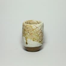 藏菁ㅣ志野杯