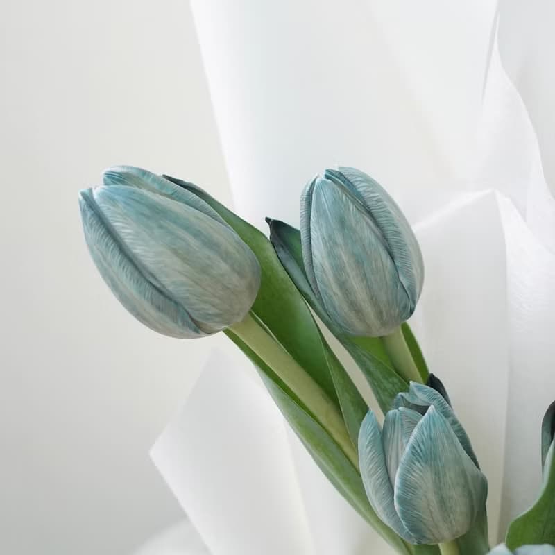 鬱金香花束 七夕 情人節花束 韓式花束  生日花束 女友禮物