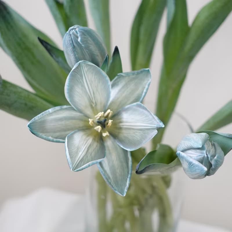 鬱金香花束 七夕 情人節花束 韓式花束  生日花束 女友禮物