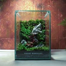 【生態缸－侏羅紀世界】微景觀 室內植栽 禮物 辦公室擺設