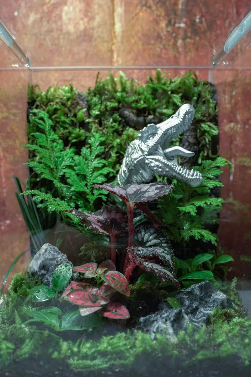 【生態缸－侏羅紀世界】微景觀 室內植栽 禮物 辦公室擺設