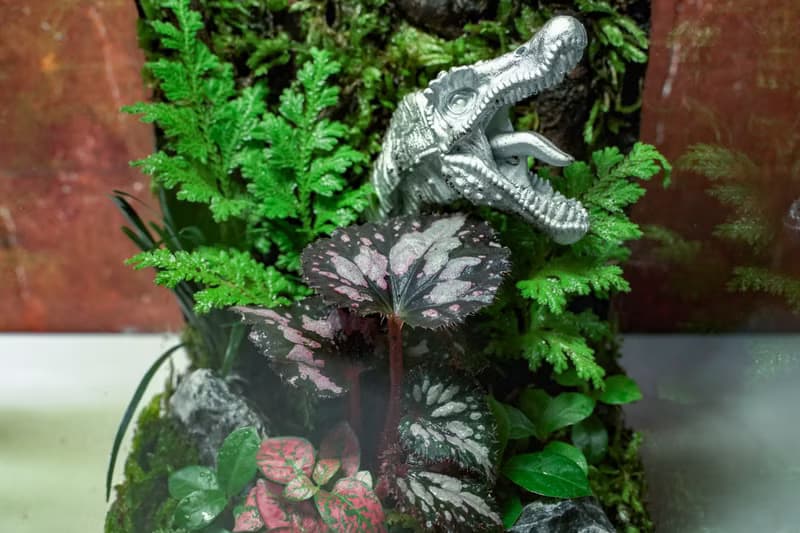 【生態缸－侏羅紀世界】微景觀 室內植栽 禮物 辦公室擺設