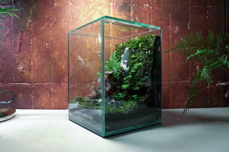 【生態缸－侏羅紀世界】微景觀 室內植栽 禮物 辦公室擺設