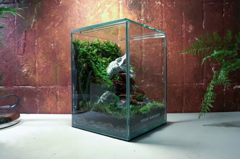【生態缸－侏羅紀世界】微景觀 室內植栽 禮物 辦公室擺設