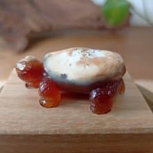 雕件 逗樂動物-鴻運龜 印尼黃皮椰化玉