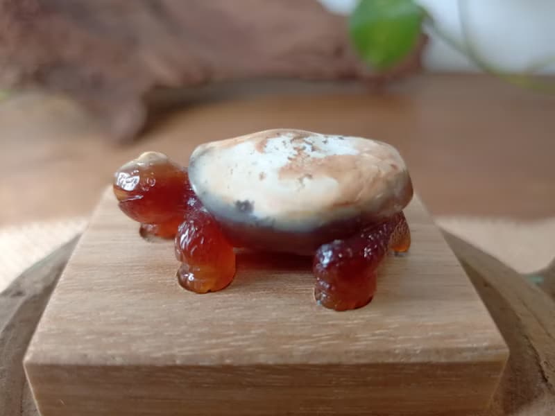 雕件 逗樂動物-鴻運龜 印尼黃皮椰化玉