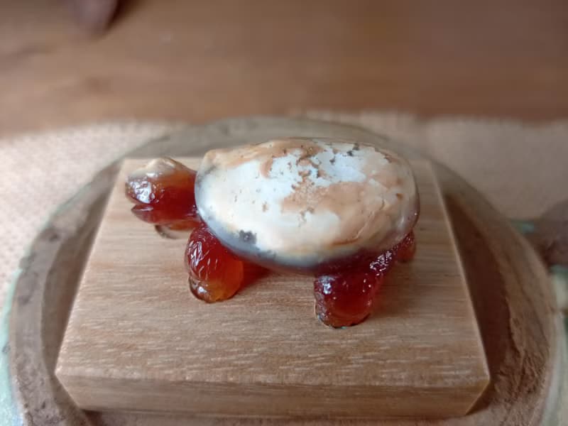 雕件 逗樂動物-鴻運龜 印尼黃皮椰化玉