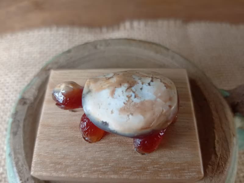 雕件 逗樂動物-鴻運龜 印尼黃皮椰化玉