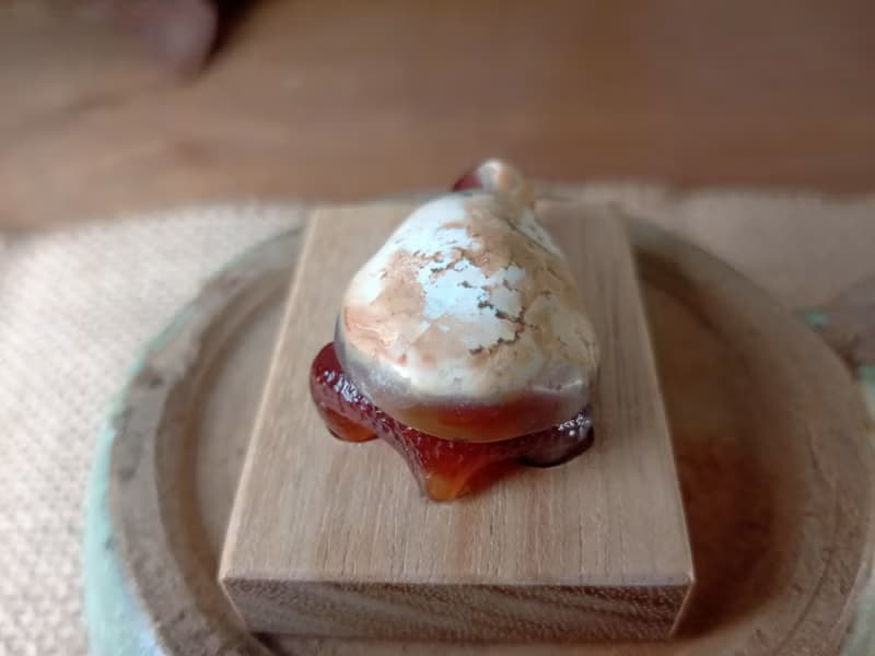 雕件 逗樂動物-鴻運龜 印尼黃皮椰化玉