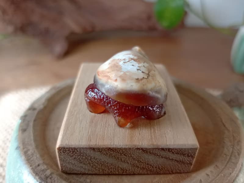 雕件 逗樂動物-鴻運龜 印尼黃皮椰化玉