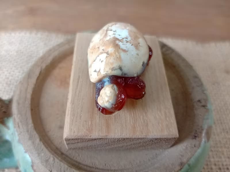 雕件 逗樂動物-鴻運龜 印尼黃皮椰化玉