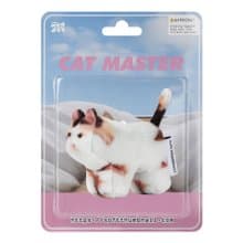 Jigoo, Domestic Shorthair