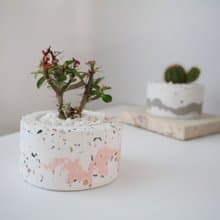 圓泥盆 • 磨石款 / 手作水泥盆器 / 小盆栽 / 生日送禮