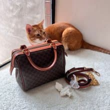【日本中古】Vintage CELINE 1994's 老花迷你波士頓包