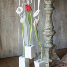 情人節限定 單朵 鬱金香 提盒 鮮花花束 /限台中地區