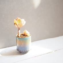 Mini Plant in Periwinkle琺瑯植栽系列-晨曦 │蕾絲公主