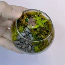 綠野小巢 / 迷你掌上型手工微景觀生態盆