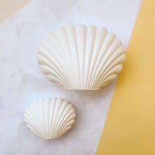 海洋貝殼擴香石