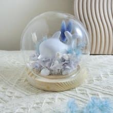 (限雙北面交)海洋海豚花禮 永生花 乾燥花 擴香石 盅罩花