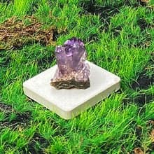 能量擺飾-天然原皮原礦可愛紫水晶晶簇  快速出貨 財運水晶