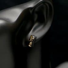 闇冬耀金_秋冬款_樹脂_精工