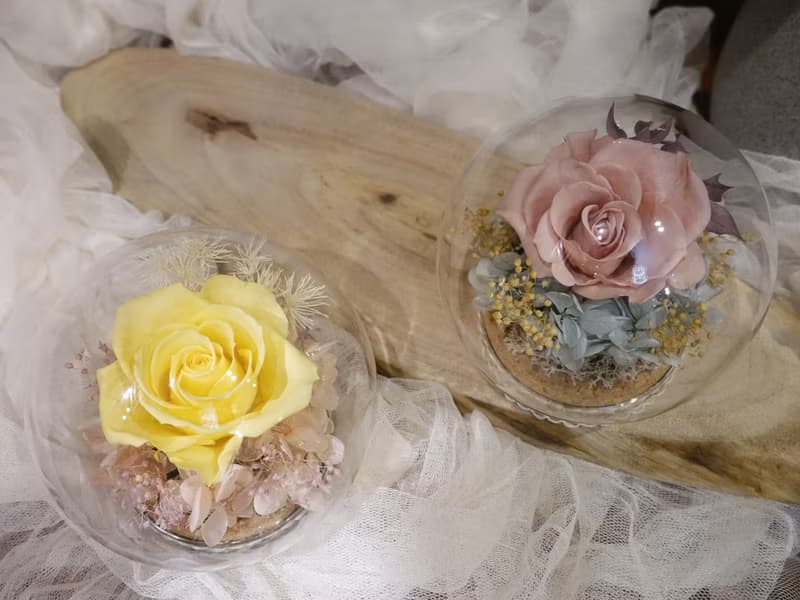 永生花玻璃罩
