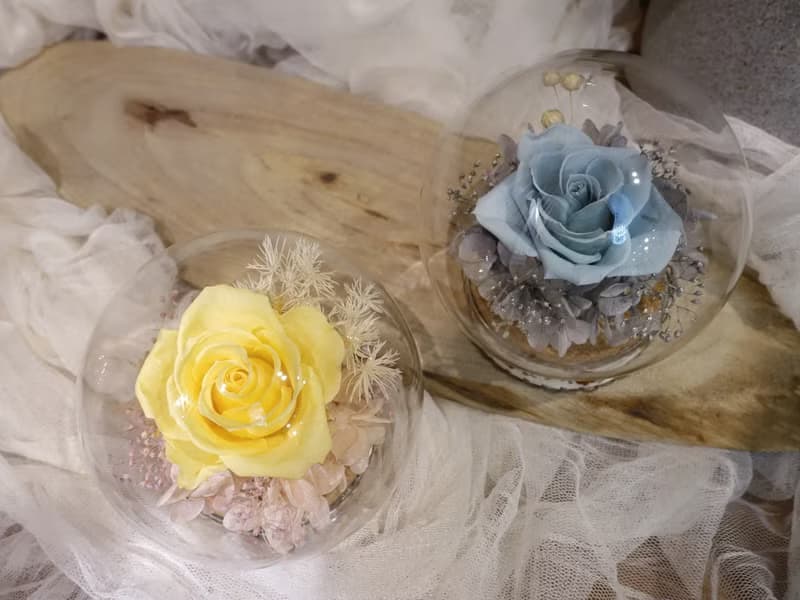 永生花玻璃罩