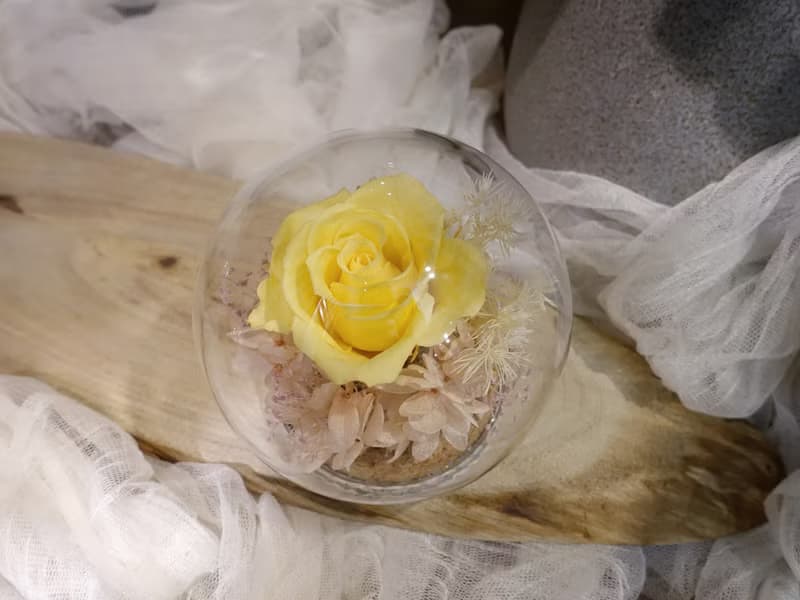 永生花玻璃罩