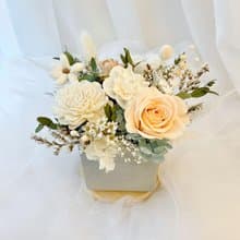 小清新永生盆花 / 乾燥花桌花  / 開幕禮 新居禮