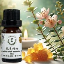 100%印度乳香精油 冥想系精油 淨化心靈 提升專注力 送精美擴香石